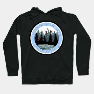 Camp Crystal Lake Hoodie